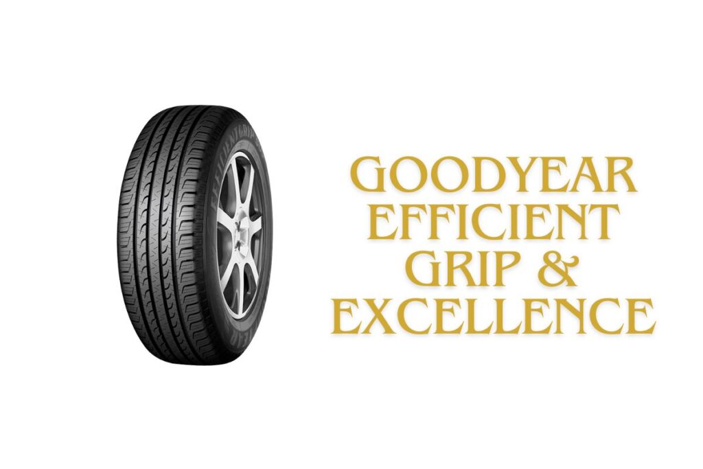 Goodyear Efficient Grip & Excellence