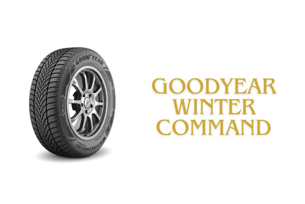 Goodyear Winter Command